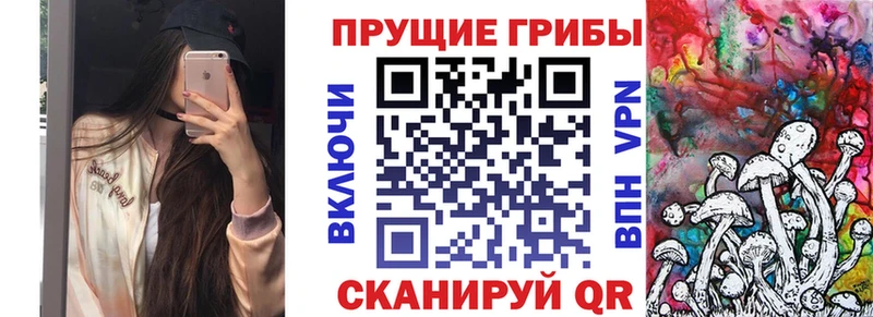 Псилоцибиновые грибы Psilocybine cubensis Костерёво